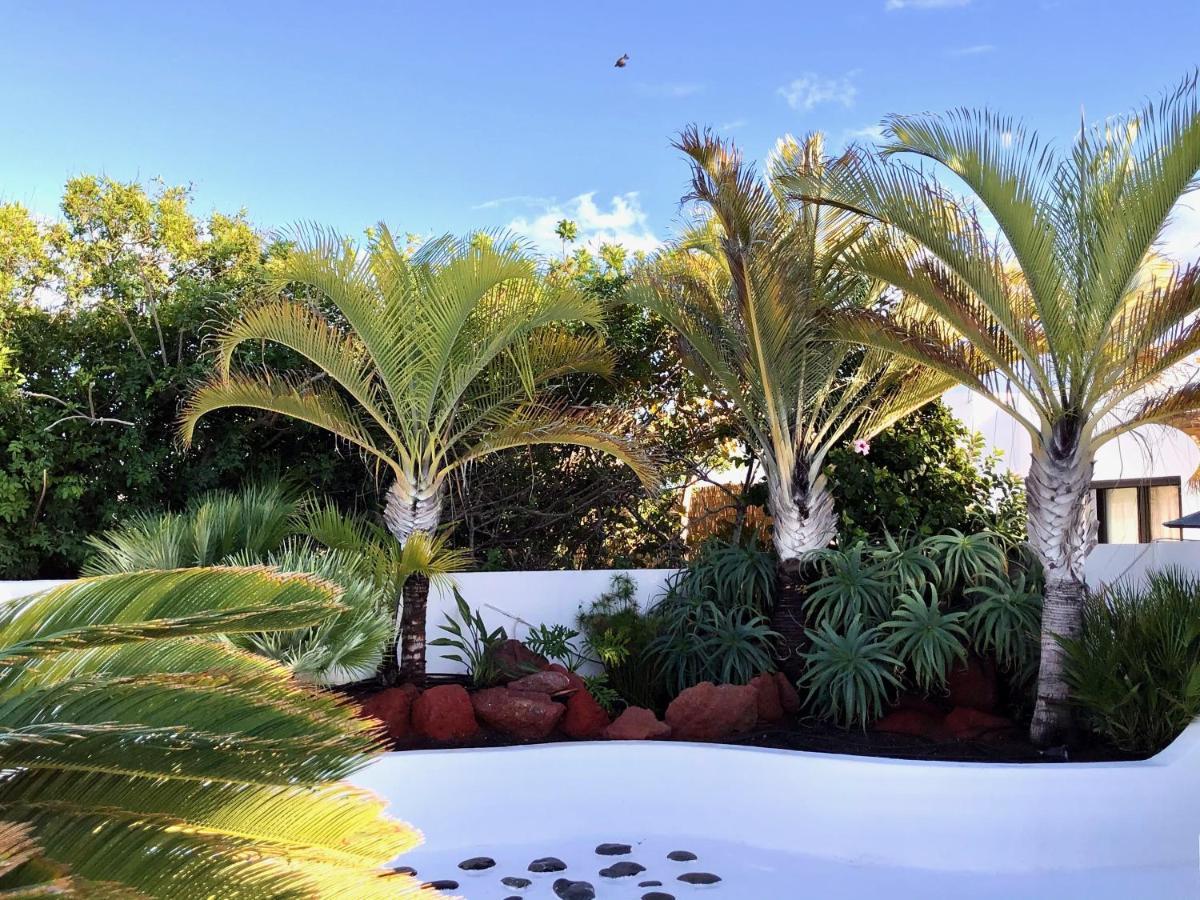 Villa Picasso Private Pool Playa Blanca  Exteriör bild